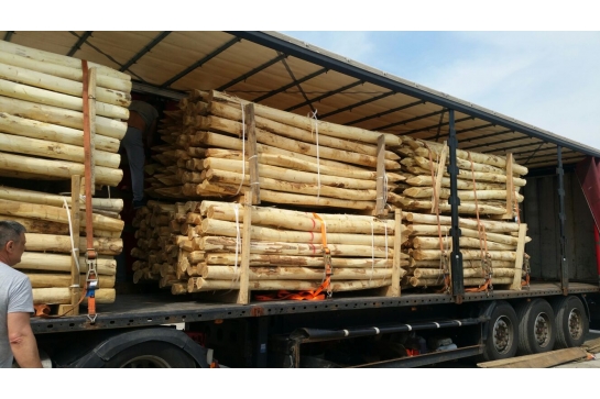 Lame de Terrasse Acacia 27 x 145