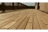 Lame de Terrasse robinier Acacia 21x120mm